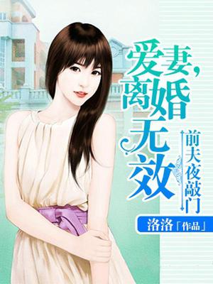 前夫夜敲门：爱妻，离婚无效