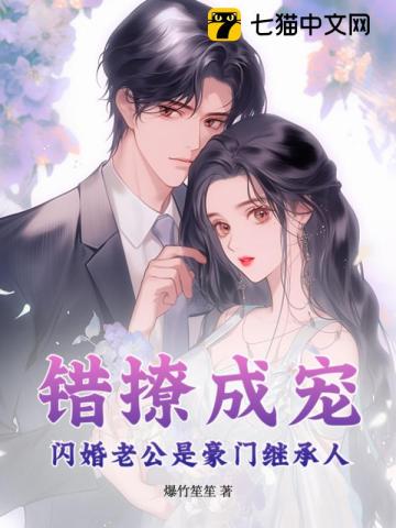 错撩成宠,闪婚老公是豪门继承人