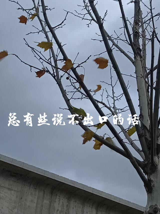 总有些说不出口的话