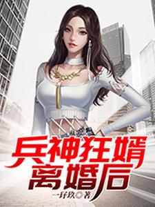 兵神狂婿离婚后